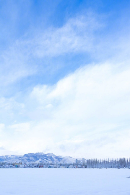 北海道大学雪景雪景图片唯美藏不住的喜欢理直气壮就好 呱呱软件