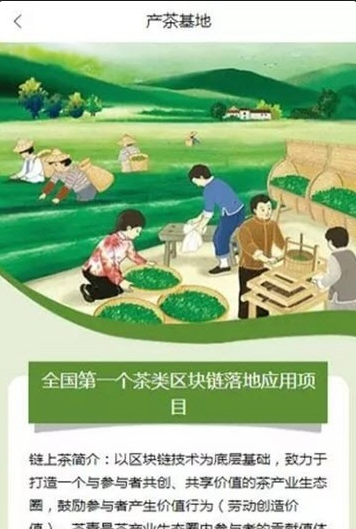 链上茶在哪里下载_链上茶最新下载地址介绍