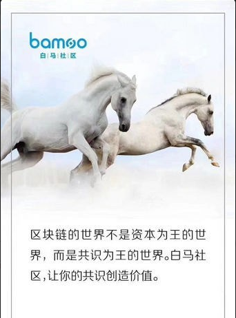 白马社区在哪里下载_白马社区最新下载地址介绍
