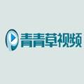 青青草视频app下载-国产青青草视频在线观看v4.2.2安卓IOS版