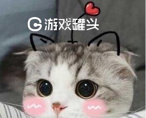 猫咪社区最新版