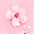 桃花视频app免费版v4.3.1