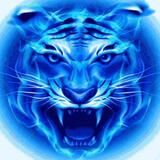四虎视频v1.0.0