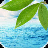 轻轻一点最新版本v1.1
