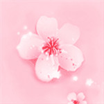桃花视频app下载_桃花视频软件在线免费版2021最新下载 安卓版 V1.0