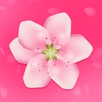 免费观看无限app的桃花直播视频在线下载v1.0