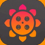 向日葵app下载网址进入在线官方版安装|向日葵app下载网址进入在线官方版 v6.5